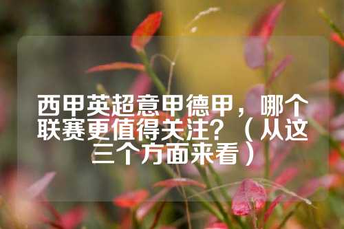 勇士队便展