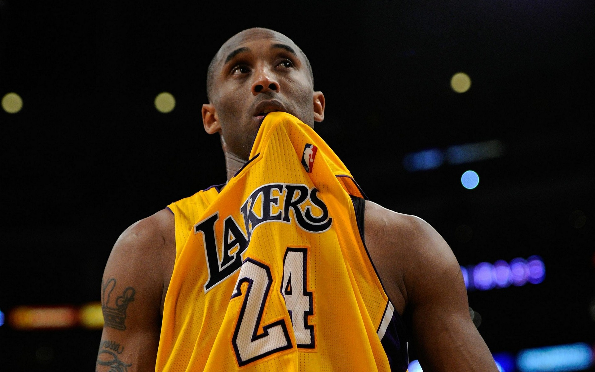 建设等领域 建设等领域