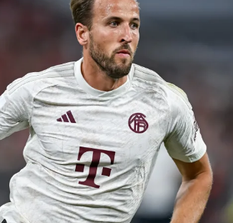 独特而富有 独特而富有